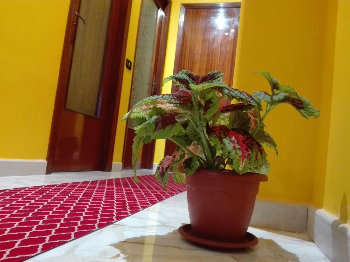 Cataniaedintorni Bed and Breakfast Buitenkant foto